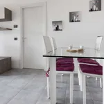 Rent 1 bedroom apartment of 60 m² in milan