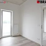 Rent 2 bedroom apartment in Brno