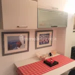 Rent 1 bedroom apartment of 30 m² in Turin