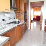 Rent 3 bedroom apartment of 110 m² in Cinisello Balsamo