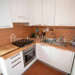 Rent 1 bedroom apartment of 40 m² in Florence