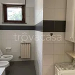 Rent 3 bedroom apartment of 100 m² in Rozzano