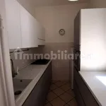 Rent 3 bedroom apartment of 100 m² in Imola