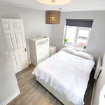 Rent 1 bedroom apartment in dublin