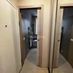 Rent 1 bedroom apartment of 25 m² in Modena