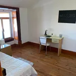 Rent 5 bedroom apartment in Coimbra