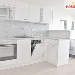 Rent 1 bedroom apartment in Brno