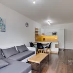 Rent 2 bedroom apartment of 58 m² in Praha