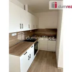 Rent 2 bedroom apartment in Pilsen