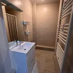 Rent 4 bedroom apartment in Toulouse