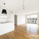 Rent 3 bedroom apartment of 97 m² in Prague