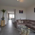 Rent 2 bedroom apartment in Gullegem