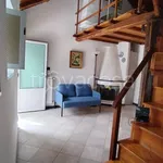 Rent 3 bedroom apartment of 60 m² in Celle Ligure