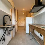 Rent 1 bedroom apartment of 20 m² in Torino