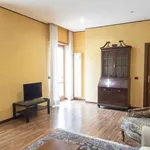 Rent 2 bedroom apartment in rome