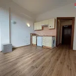 Pronajměte si 1 ložnic/e byt o rozloze 20 m² v Prague