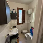 Rent 1 bedroom apartment of 50 m² in Pisa