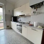 Rent 1 bedroom apartment of 45 m² in Piacenza