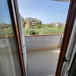 Rent 3 bedroom apartment of 65 m² in Alba Adriatica