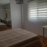 Rent 3 bedroom apartment in Valencia