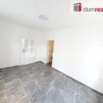 Rent 2 bedroom apartment of 47 m² in Pilsen