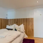 Rent 1 bedroom apartment of 25 m² in Berlin