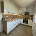 Rent 1 bedroom apartment in Ostrava