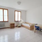 Rent 1 bedroom apartment of 41 m² in Pavia