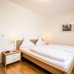Rent 2 bedroom apartment of 50 m² in Schleiden