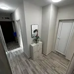 Rent 3 bedroom apartment of 70 m² in Каменица 2