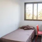 Rent 6 bedroom apartment in Valencia