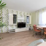 Rent 3 bedroom apartment of 65 m² in Düsseldorf