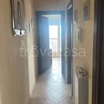 Rent 3 bedroom apartment of 75 m² in Foggia