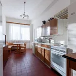 Rent 5 bedroom apartment in Praha 7