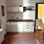 Rent 1 bedroom apartment of 33 m² in Cremona