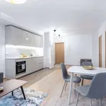 Rent 1 bedroom apartment in vilnius