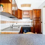 Rent 1 bedroom apartment of 35 m² in Parma