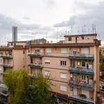 Rent 4 bedroom apartment in Rome