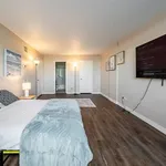 Rent 1 bedroom apartment in New Orleans