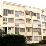 Rent 3 bedroom apartment of 66 m² in Basel