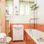 Rent 1 bedroom apartment in Hradec Králové