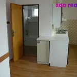 Rent 3 bedroom apartment in České Budějovice