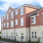 Rent 1 bedroom apartment in Doncaster