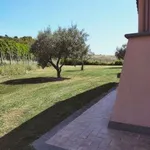 Rent 2 bedroom house of 50 m² in Campagnano di Roma