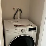 Rent 1 bedroom apartment in Wellington