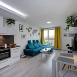 Rent 2 bedroom apartment of 57 m² in České Budějovice