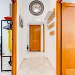 Rent 3 bedroom apartment of 80 m² in rome