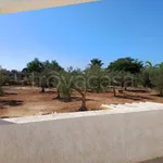 Rent 1 bedroom house of 55 m² in Marsala