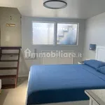 Rent 3 bedroom house of 60 m² in Pisa