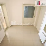 Rent 1 bedroom apartment of 48 m² in Karlovy Vary